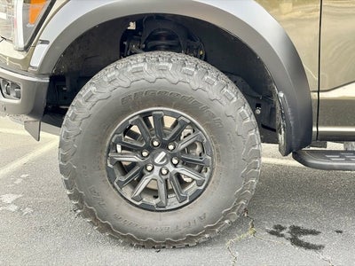 2024 Ford F-150 Raptor
